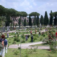 Rome's Municipal Rose Garden