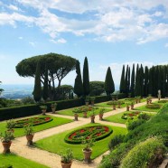 Vatican gardens